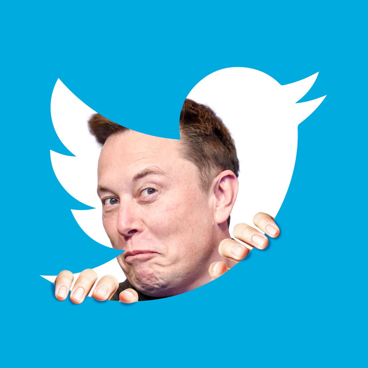 Elon Musk Nu Mai Cumpara Twitter-ul? Care Este Situatia Actuala?